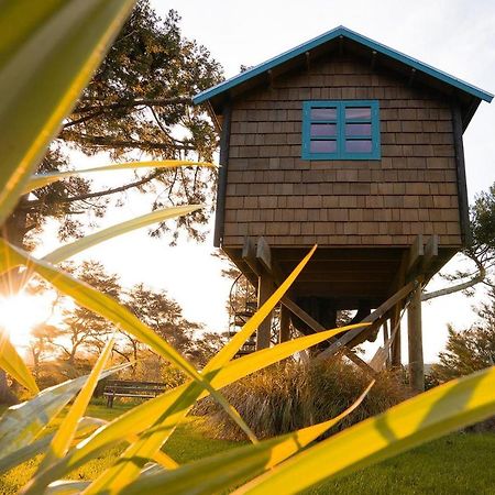 Tui Ridge Eco Cabins Aongatete Bagian luar foto