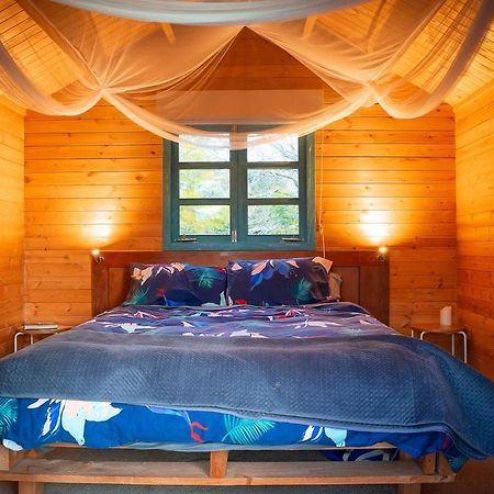 Tui Ridge Eco Cabins Aongatete Bagian luar foto