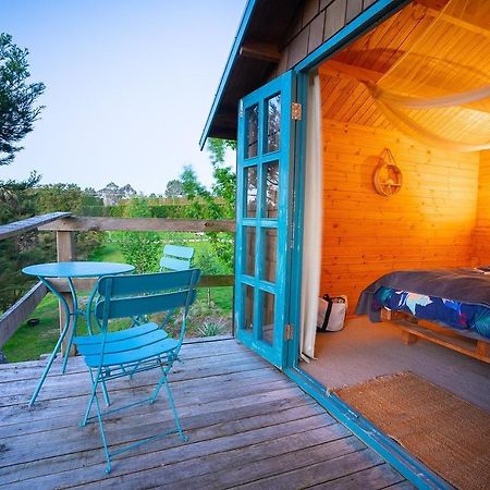 Tui Ridge Eco Cabins Aongatete Bagian luar foto