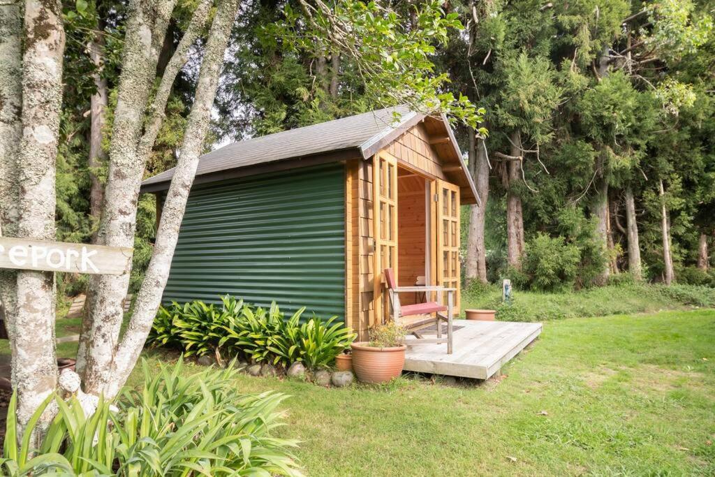 Tui Ridge Eco Cabins Aongatete Bagian luar foto