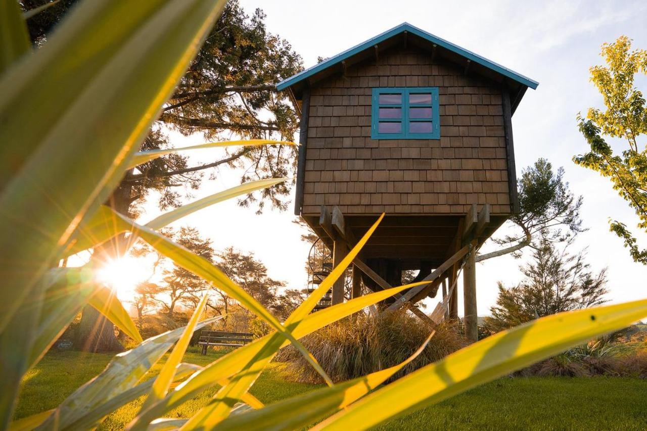 Tui Ridge Eco Cabins Aongatete Bagian luar foto