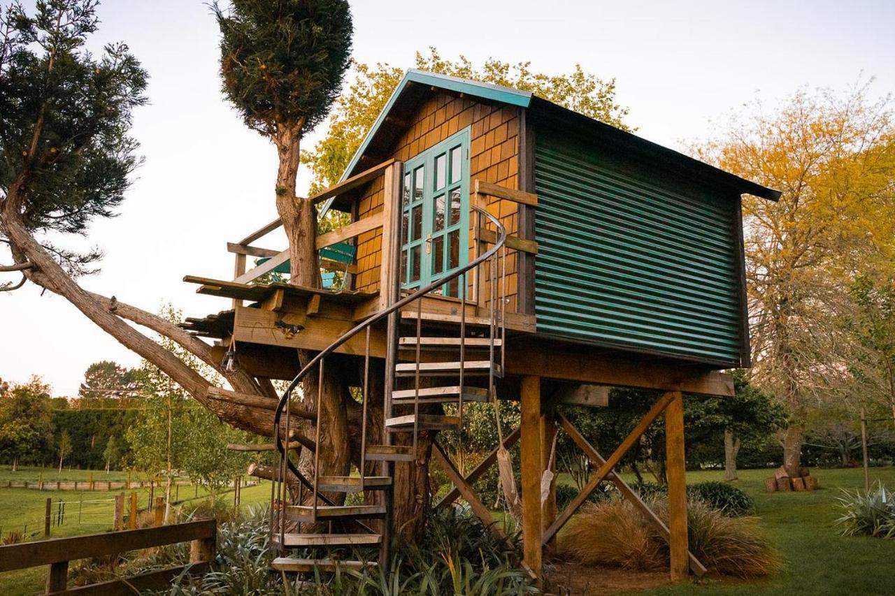 Tui Ridge Eco Cabins Aongatete Bagian luar foto