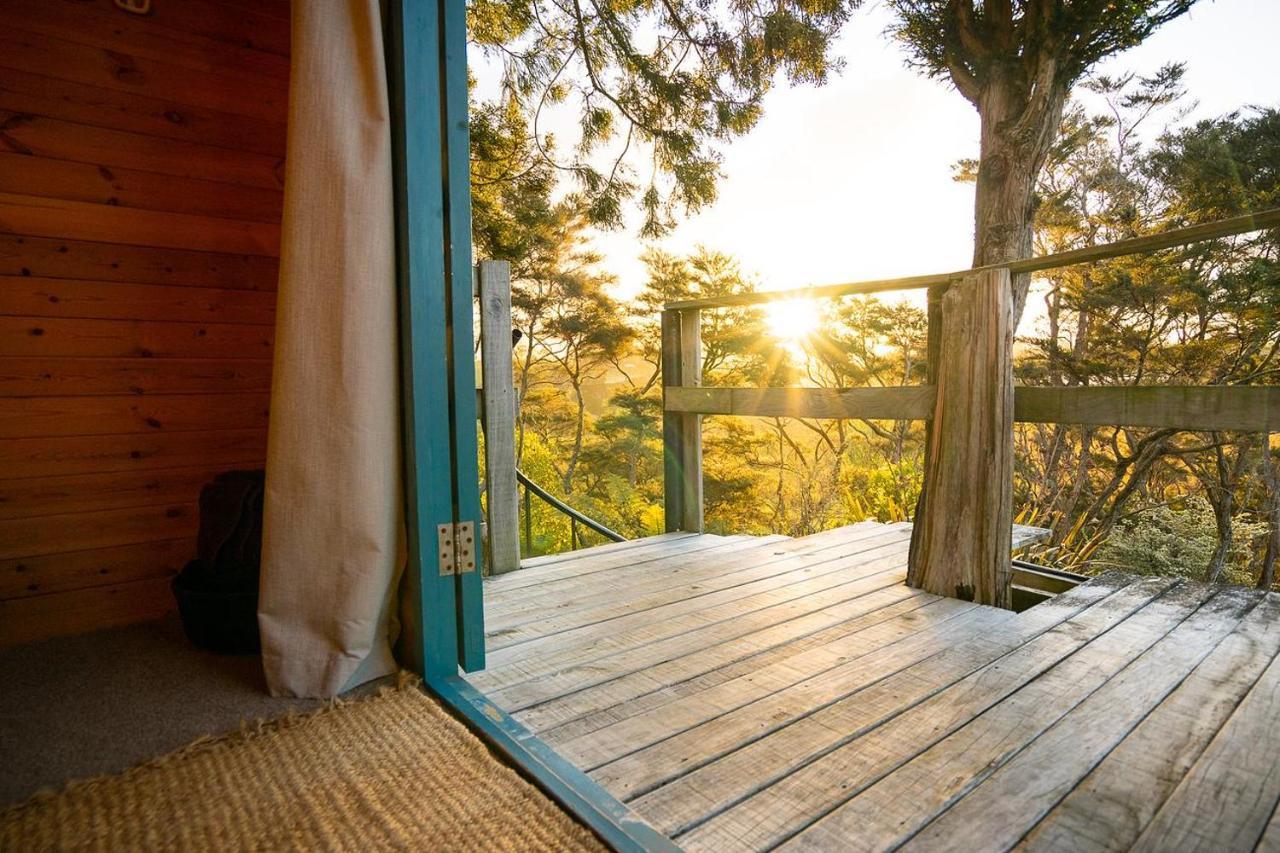 Tui Ridge Eco Cabins Aongatete Bagian luar foto