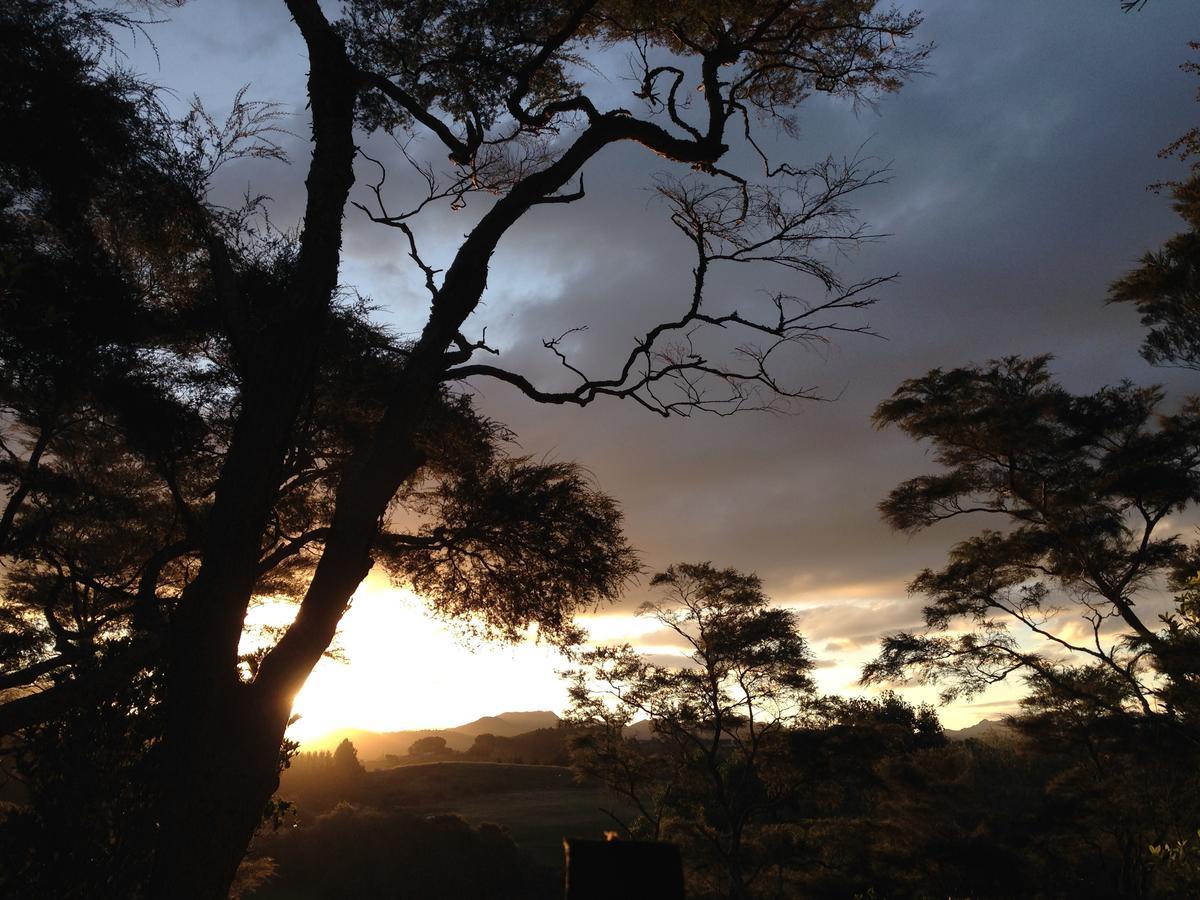 Tui Ridge Eco Cabins Aongatete Bagian luar foto