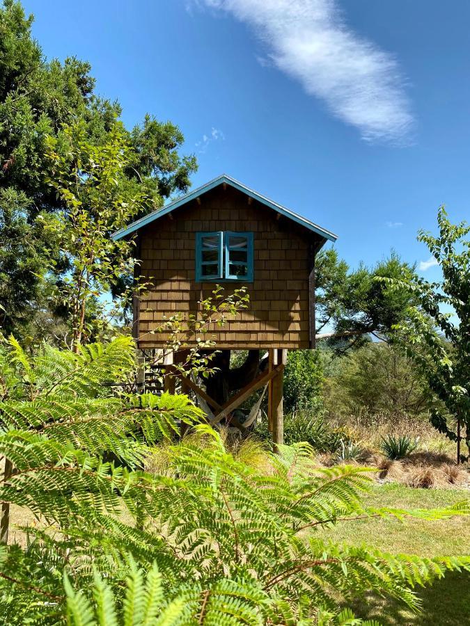 Tui Ridge Eco Cabins Aongatete Bagian luar foto